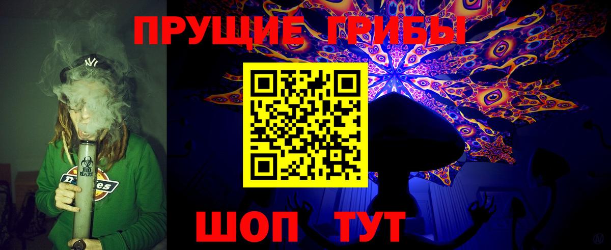 Галлюциногенные грибы Psilocybe  Вход с VPN  продажа наркотиков  Псилоцибиновые грибы Psilocybe  Менделеевск 